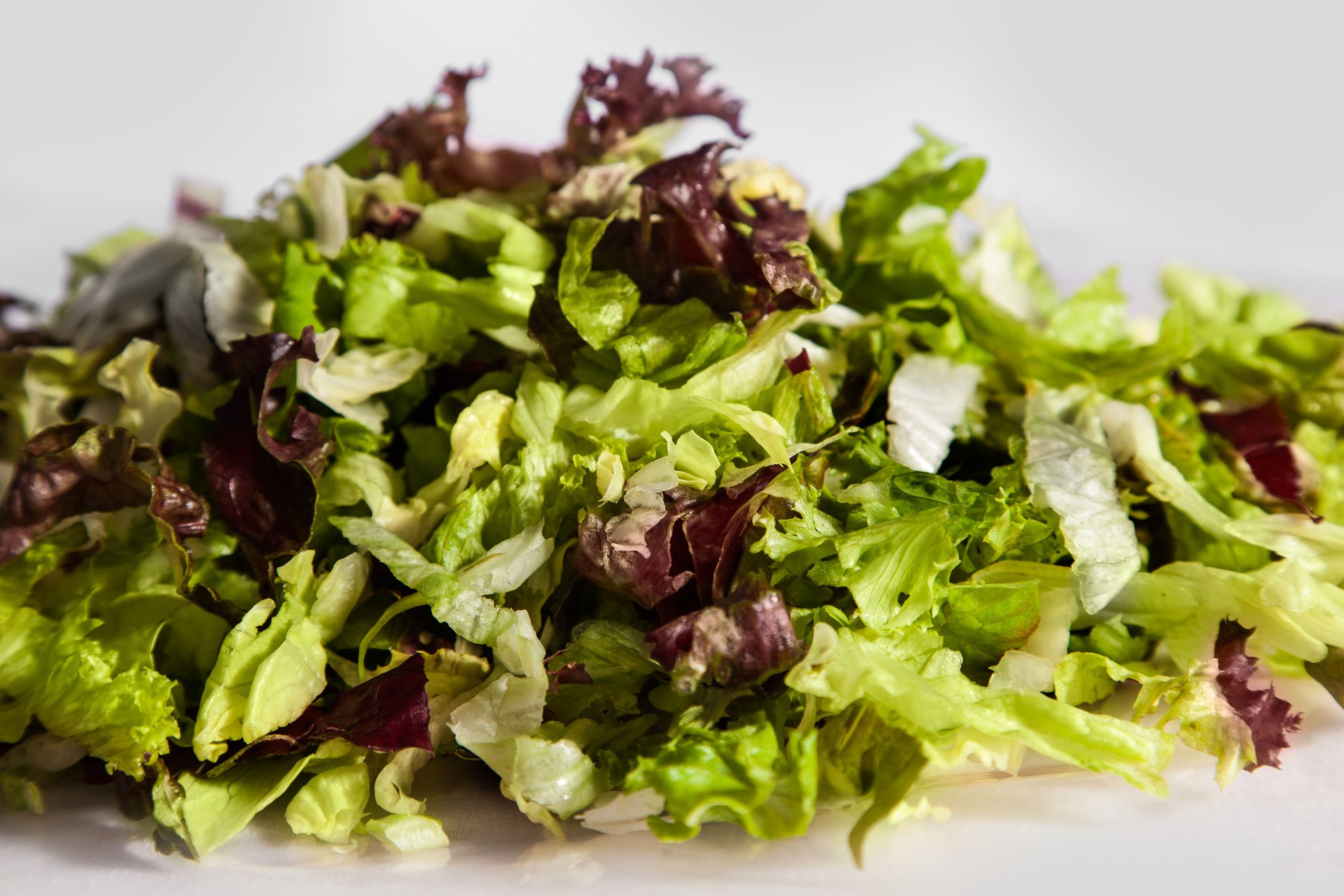 Bunter Blattsalat, frisch gemischt