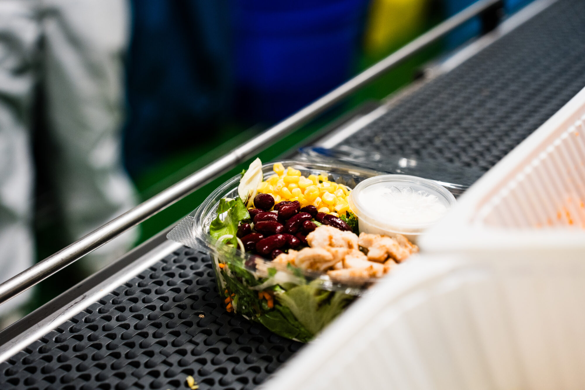 Fertig belegte Salatschalen laufen über das Band