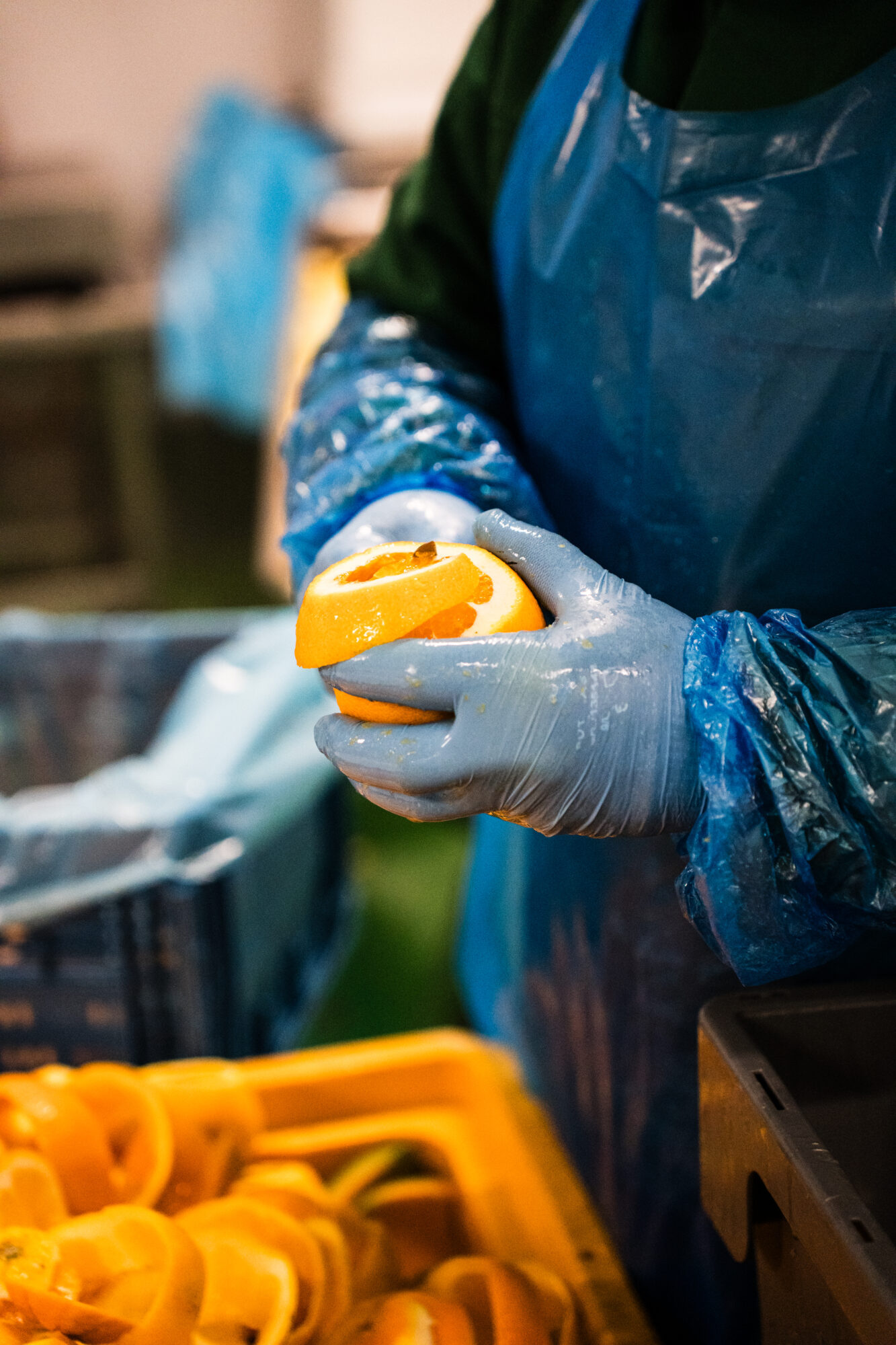 Orange wird von Hand geschält