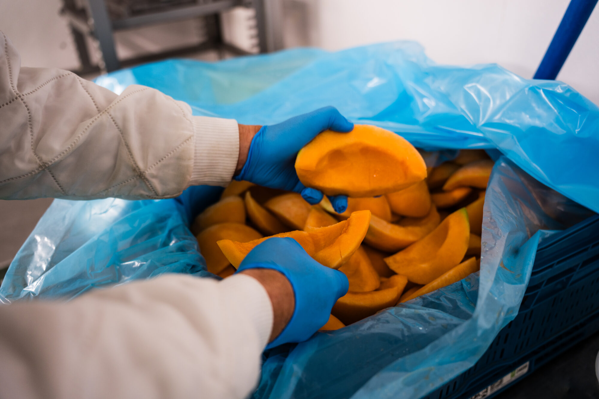Hände in blauen Handschuhen nehmen geschälte Melonenspalten aus einer Kiste