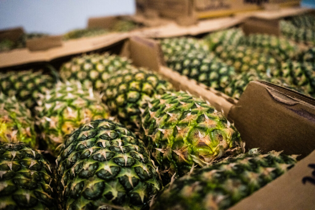 Ananas in Transportkisten im Wareneingang