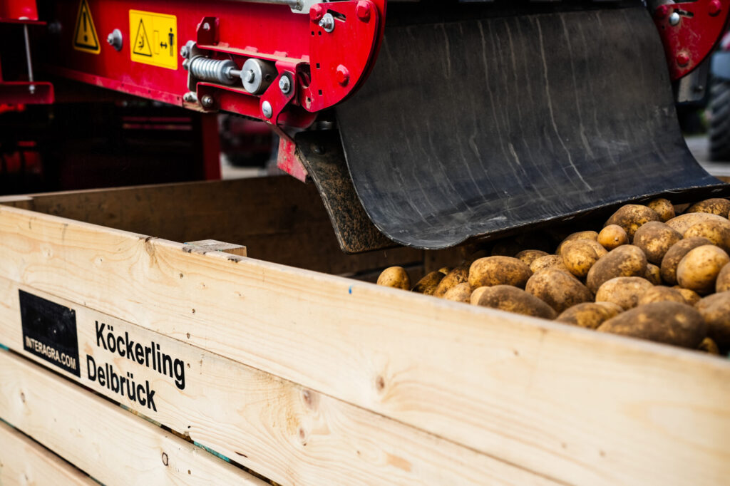 Holzkiste mit der Aufschrift Köckerling Delbrück, gefüllt mit Kartoffeln